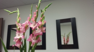 Flowers on your desk; Office Flowers; Feel Good at Work